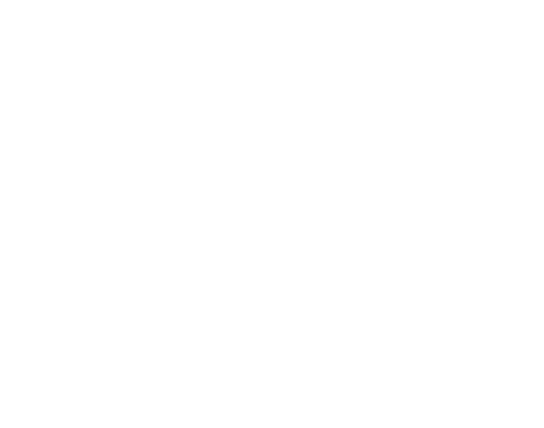 Bizilive TV